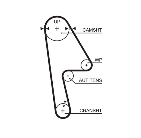 GATES 5593XS Timing belt