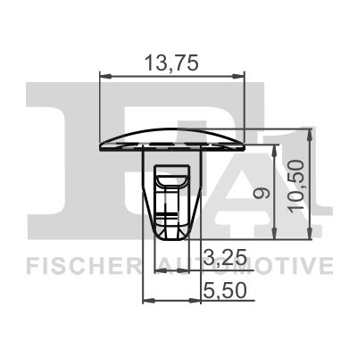 Clip, trim/protection strip-1