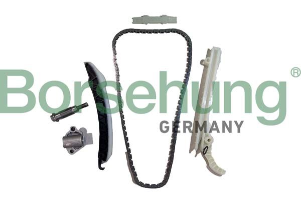 BORSEHUNG B12554 Timing chain kit