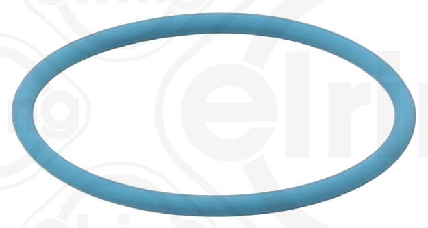 Seal Ring-main