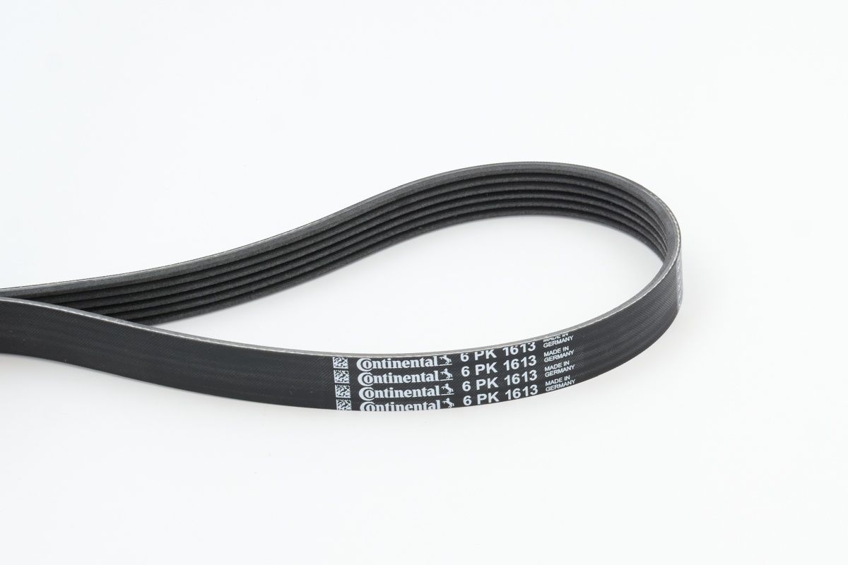 CONTINENTAL CTAM 6PK1613 V-ribbed belt