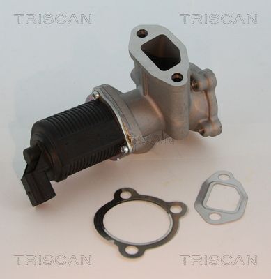 TRISCAN 8813 10003 Egr valve