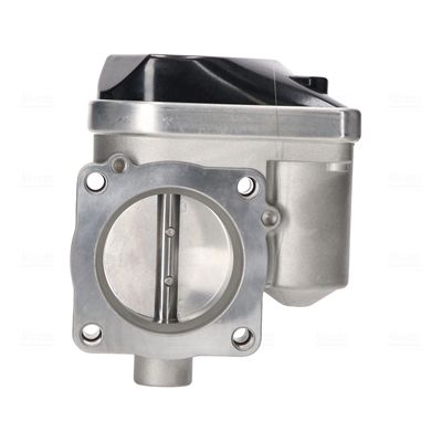 Throttle Body-1