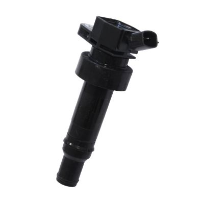 HÜCO 134080 Ignition coil
