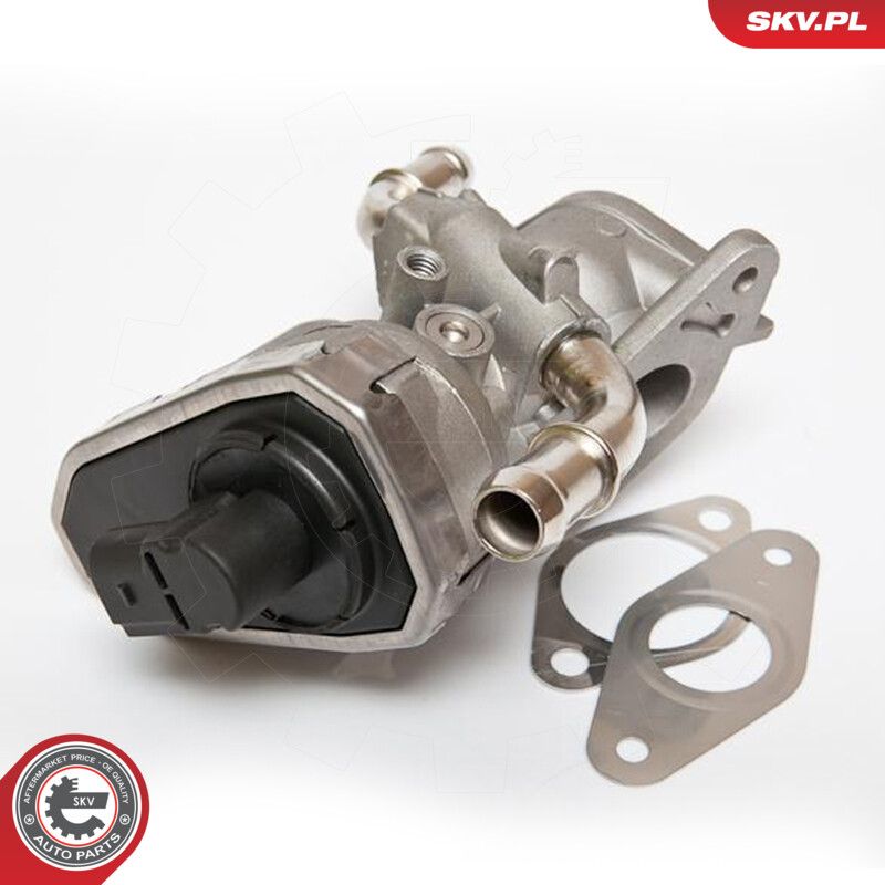 EGR Valve-5