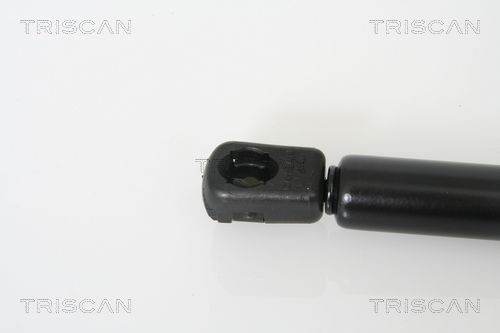 Gas Spring, boot/cargo area-1
