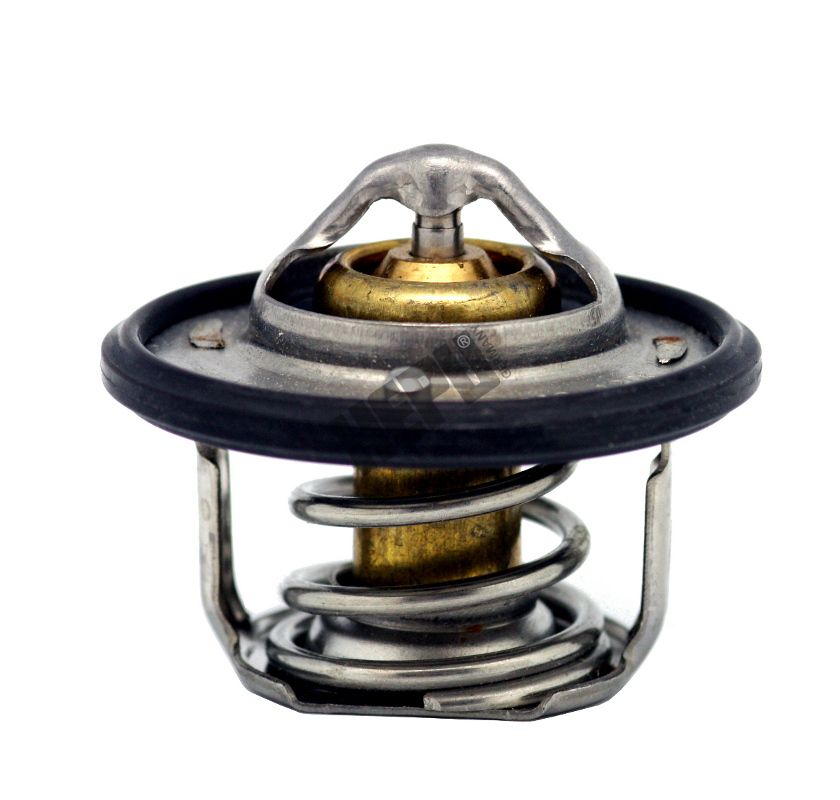 HEPU TM1329 Thermostat, coolant