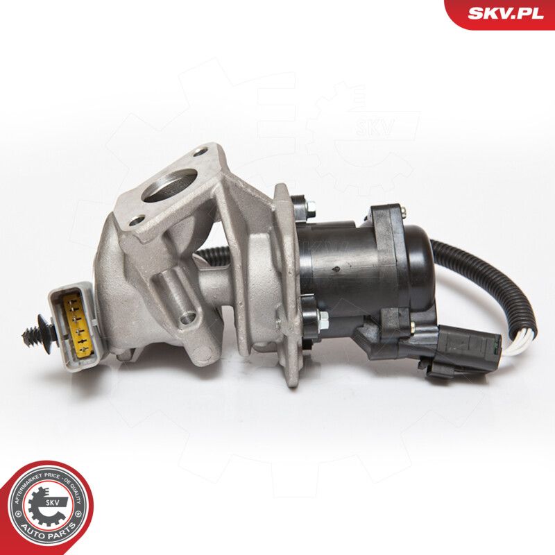 EGR Valve-3