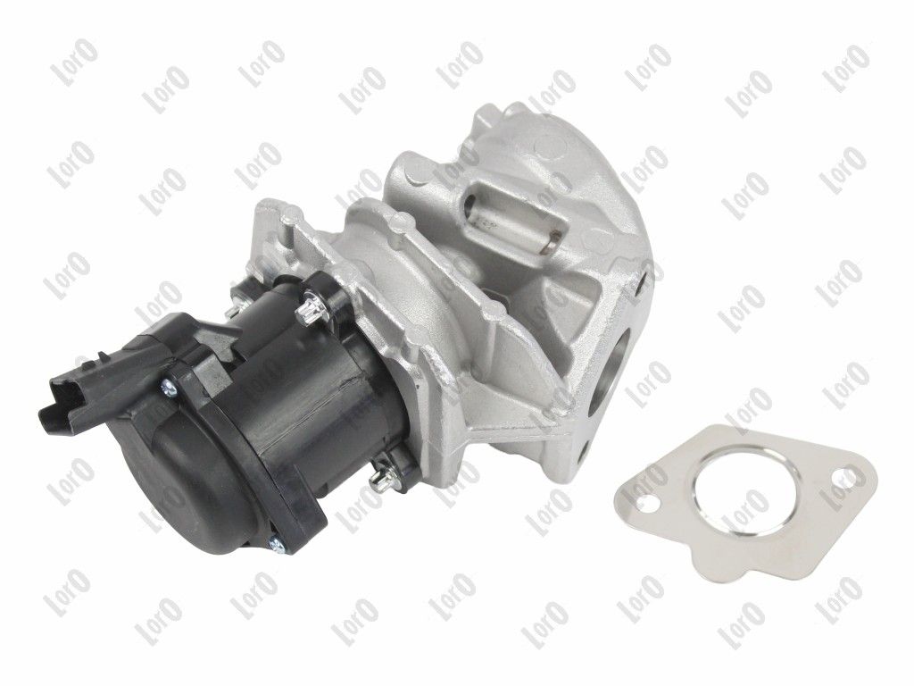 EGR Valve-1