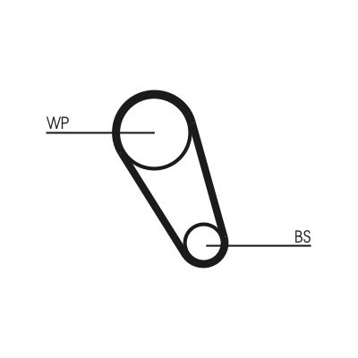 Timing Belt-1