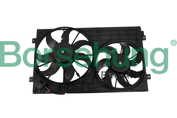 BORSEHUNG B11498 Fan, engine cooling