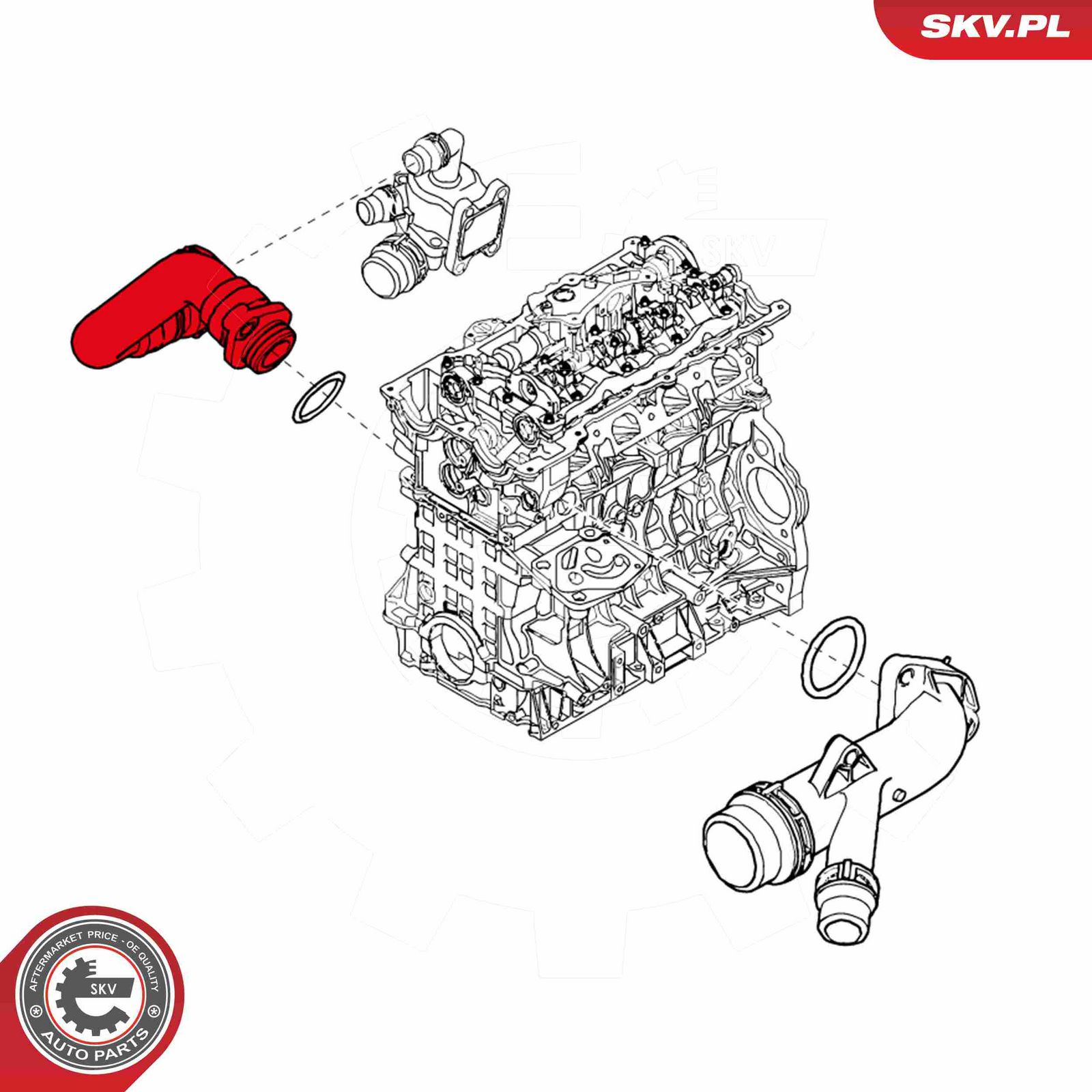 Radiator Hose-2