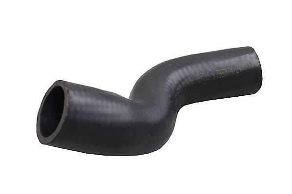 Radiator Hose-main