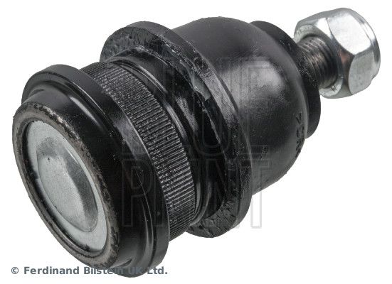 Šarnyras / girgždukas-1