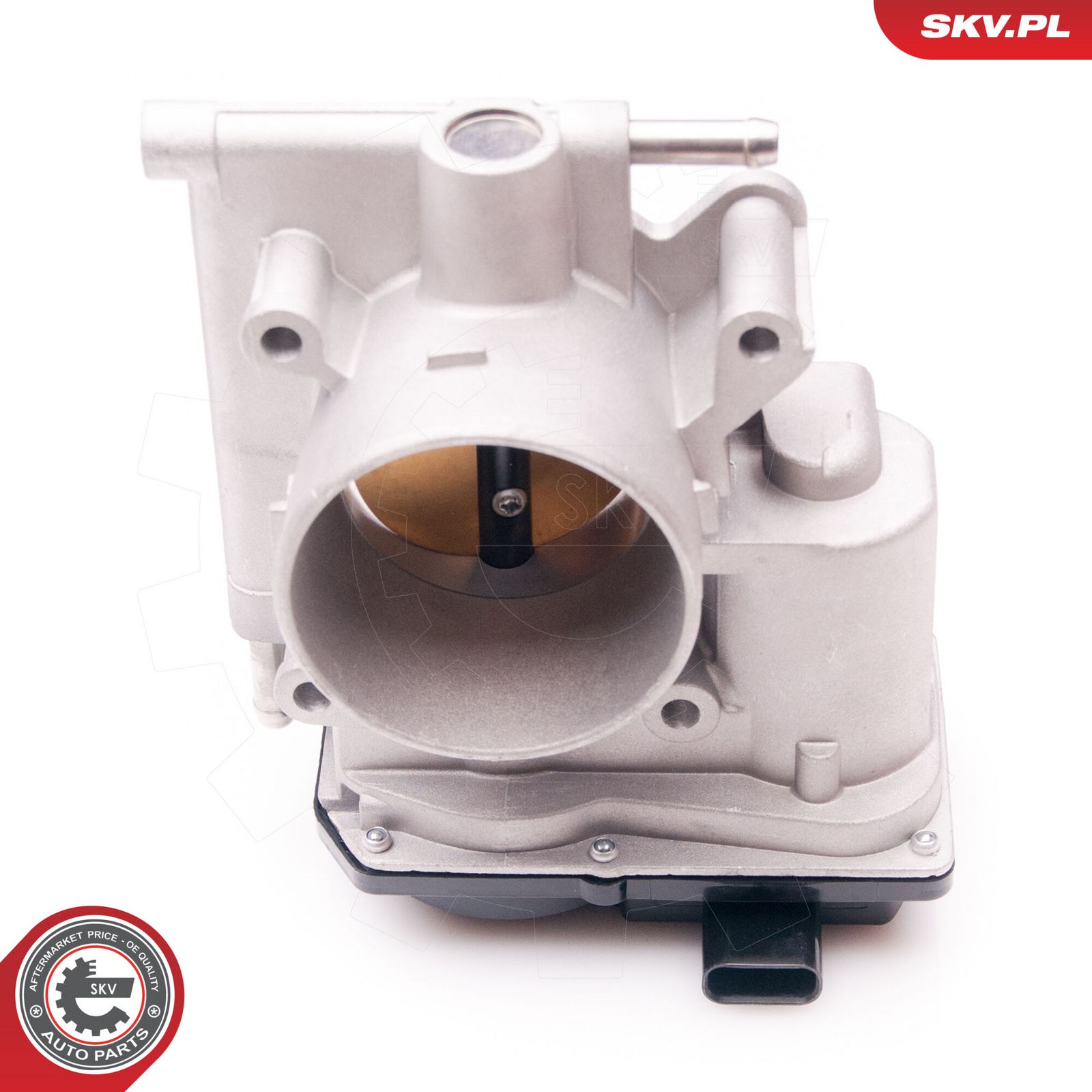 ESEN SKV 12SKV070 Throttle body