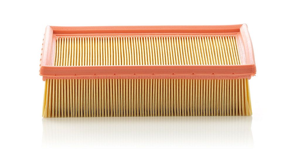 MANN-FILTER C 24 105 Air filter