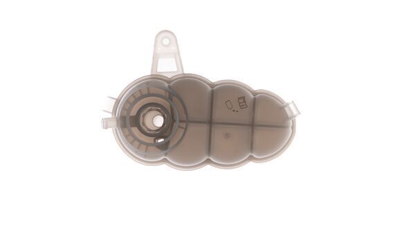 Expansion Tank, coolant-8