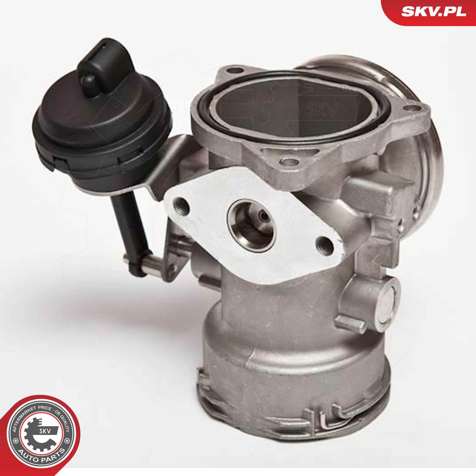 EGR Valve-2