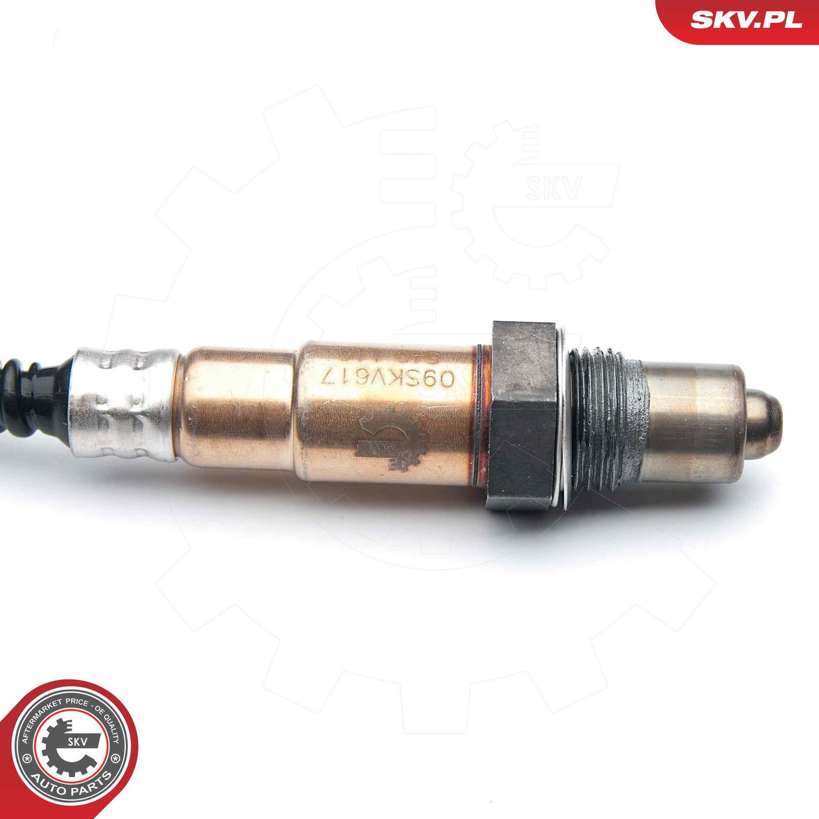 Oxygen Sensor-1