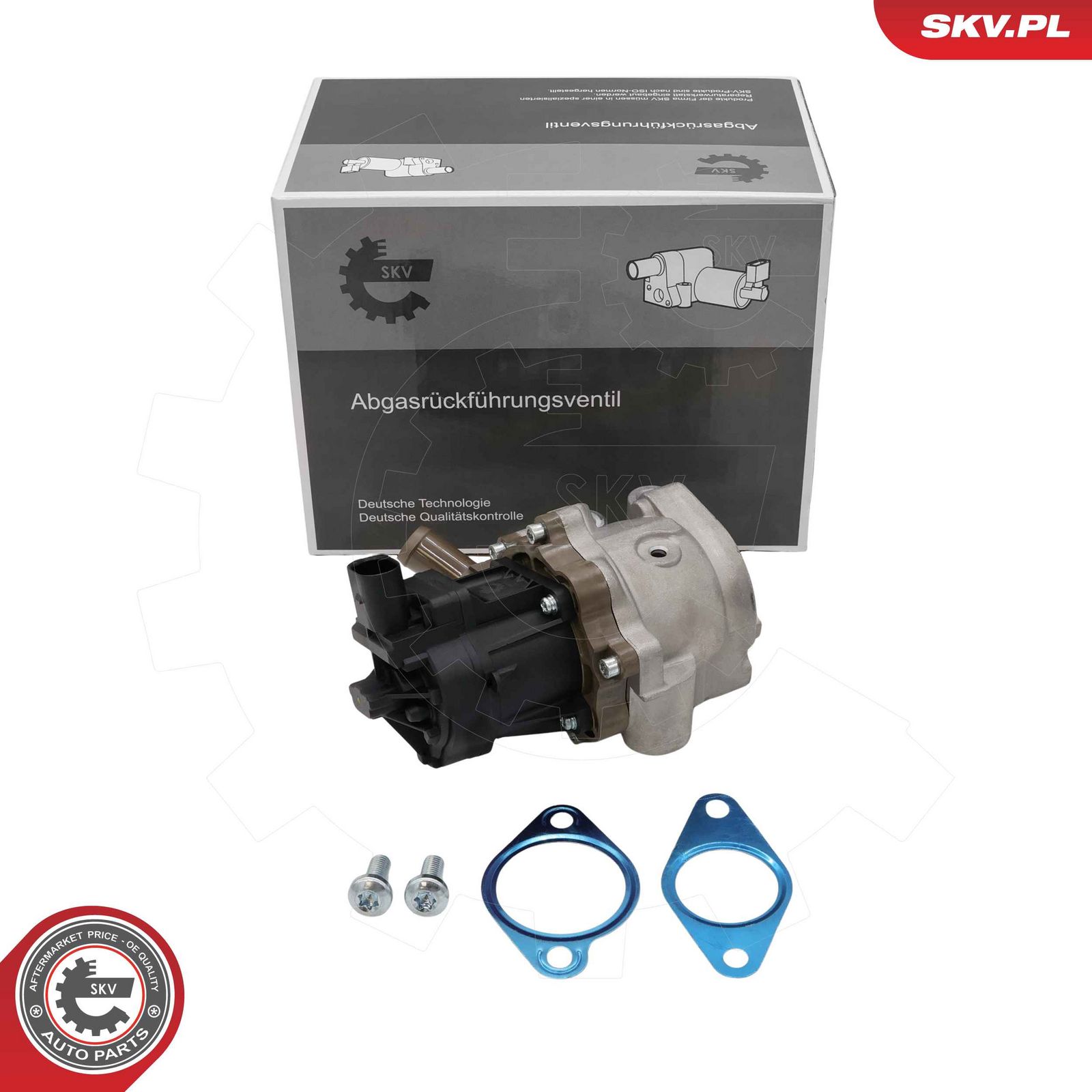 EGR Valve-5