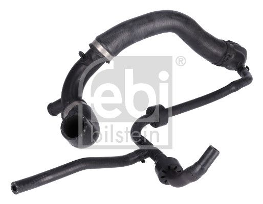 Radiator Hose-main