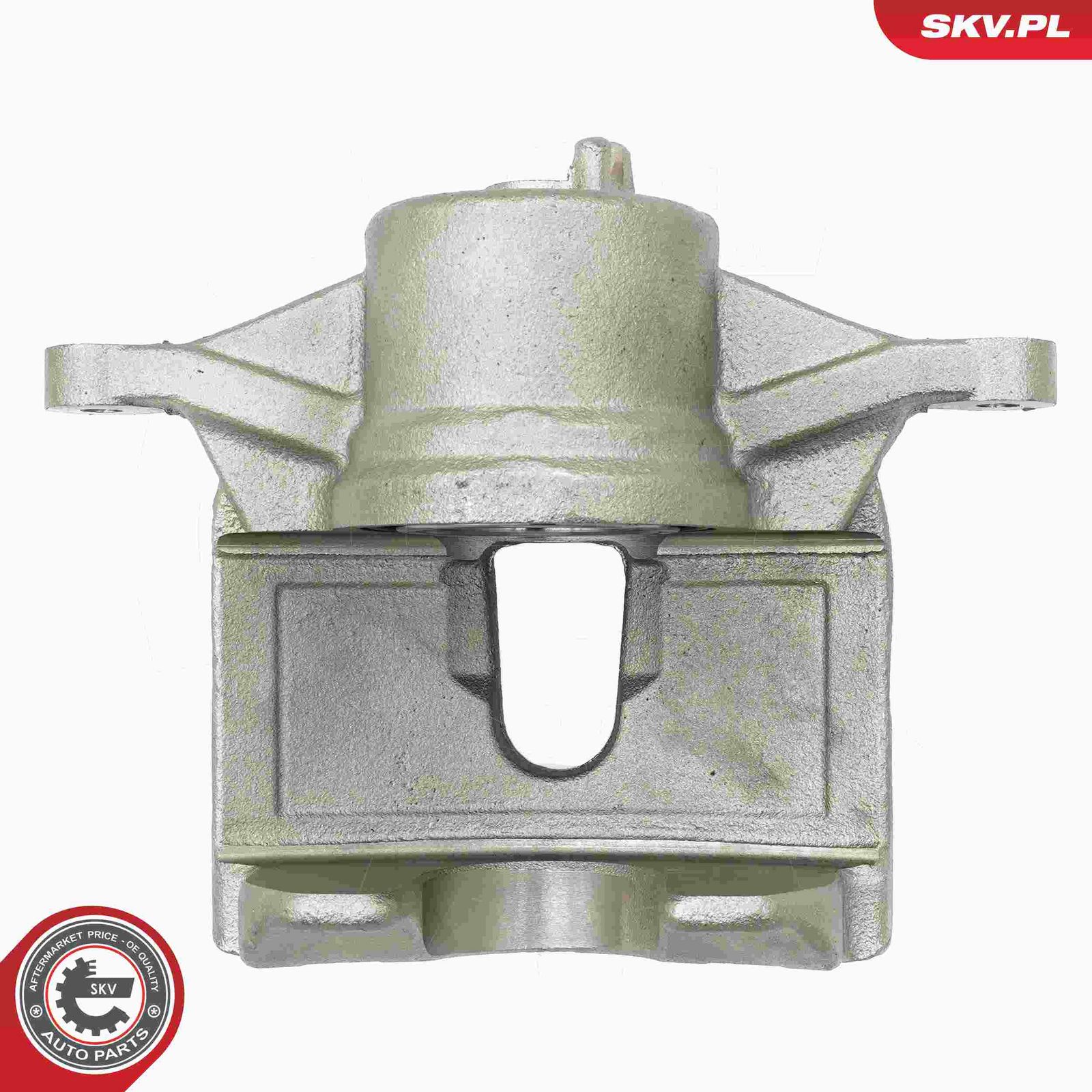 Brake Caliper-1