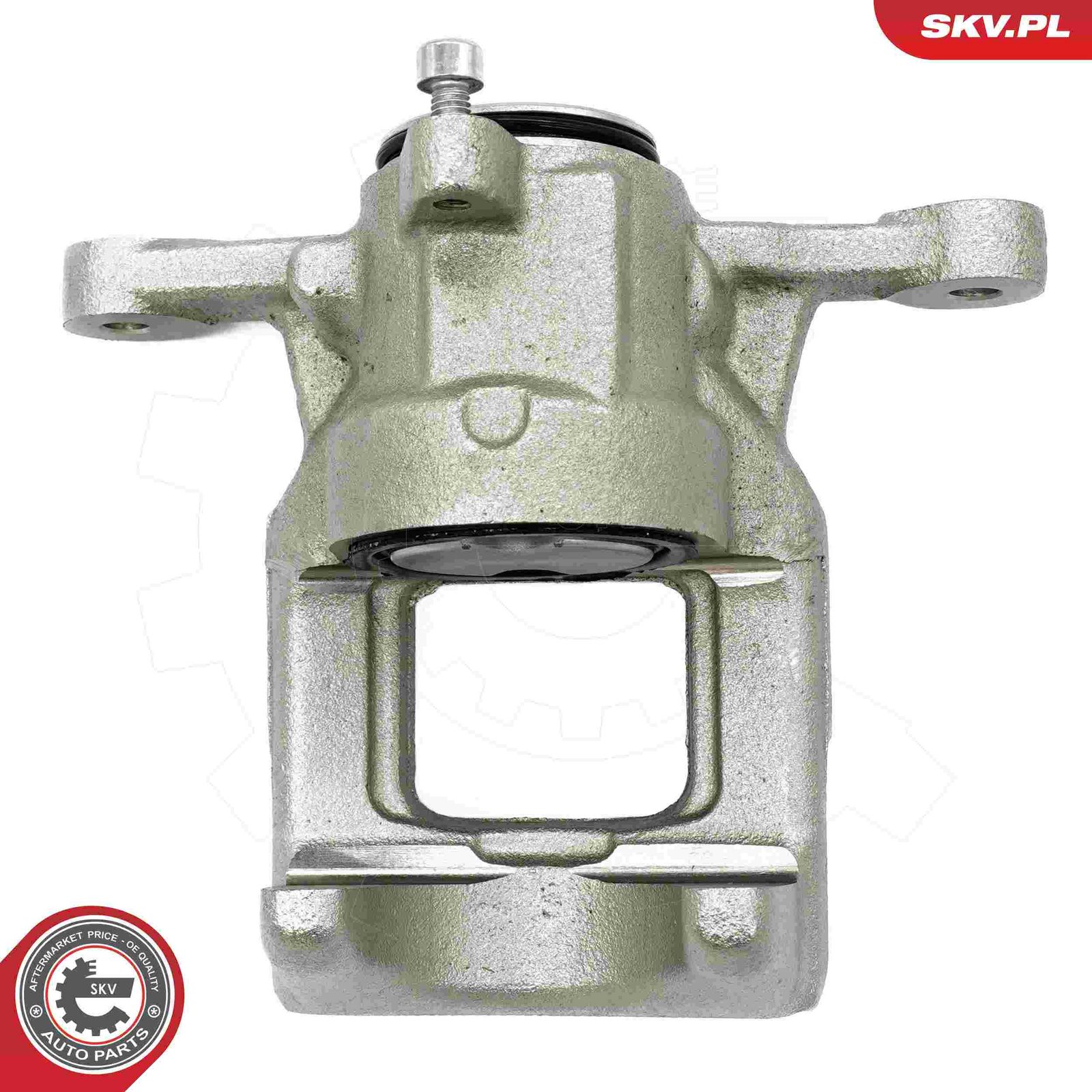 Brake Caliper-1