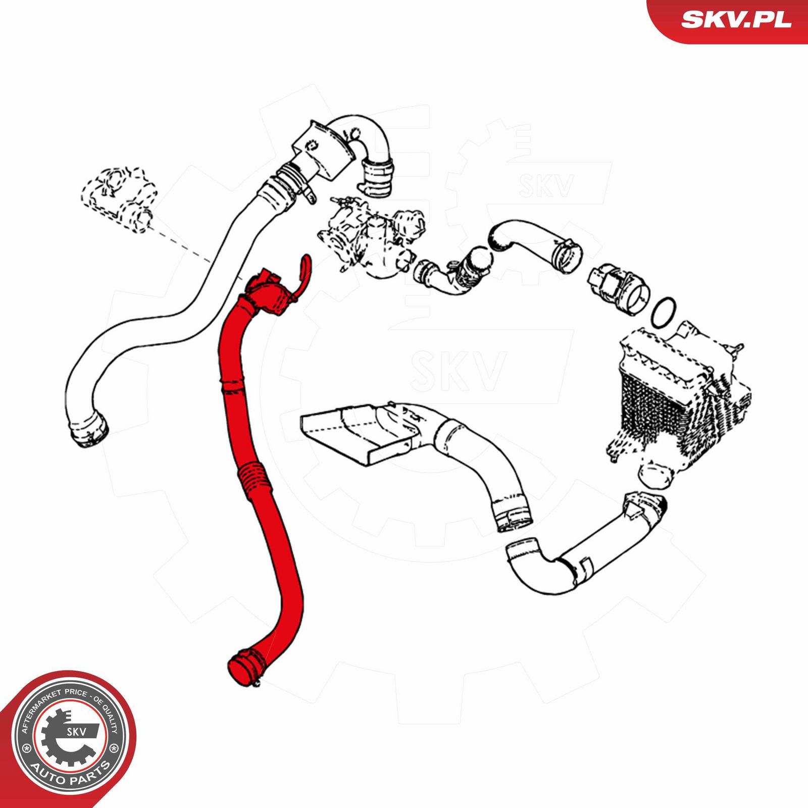 Charge Air Hose-2