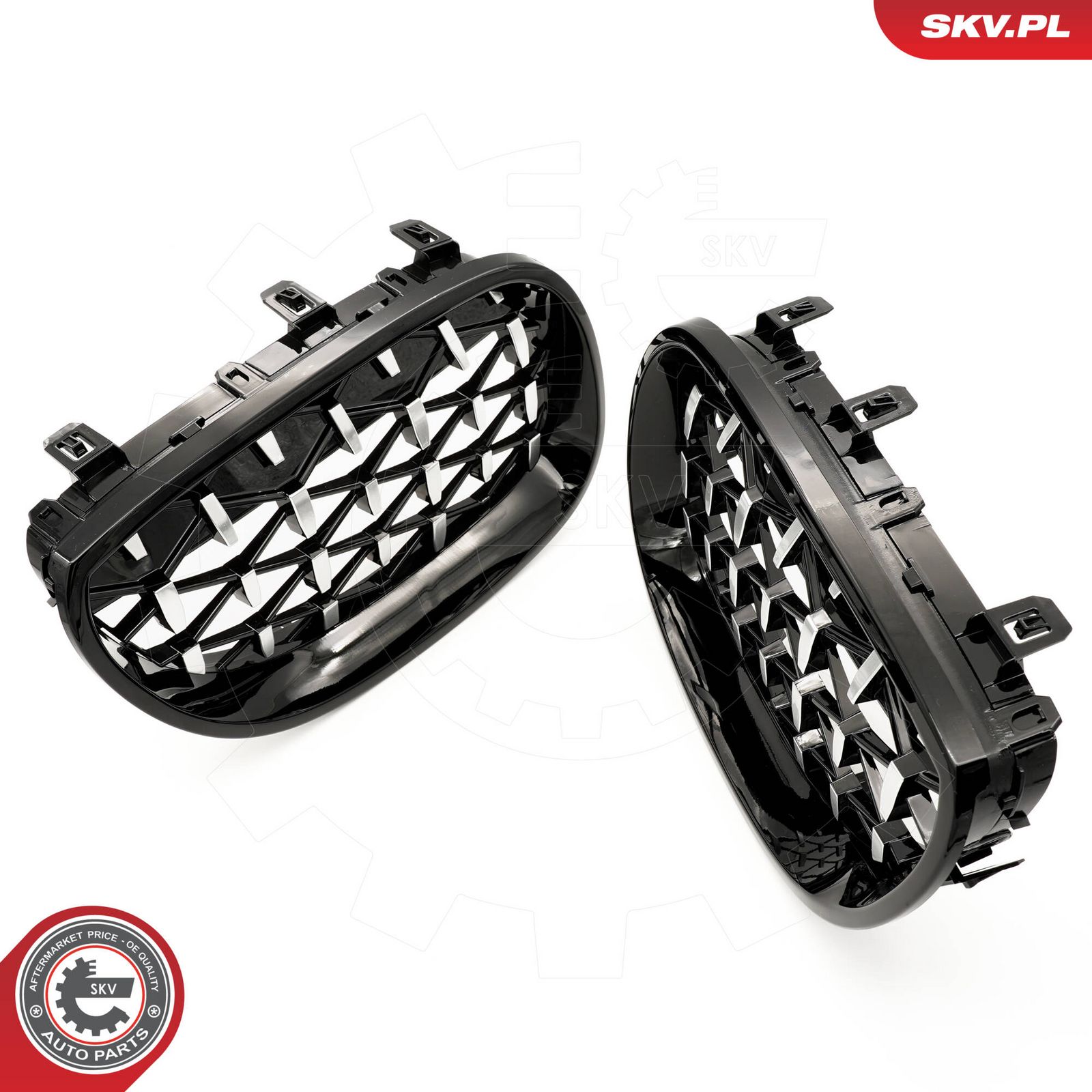 Radiator Grille-1