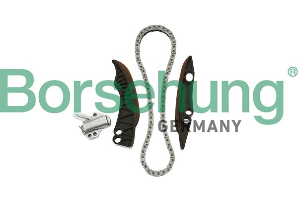 BORSEHUNG B18853 Timing chain kit