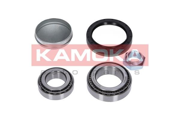Wheel Bearing Kit-2