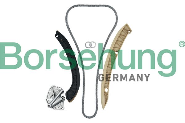 BORSEHUNG B19256 Timing chain kit