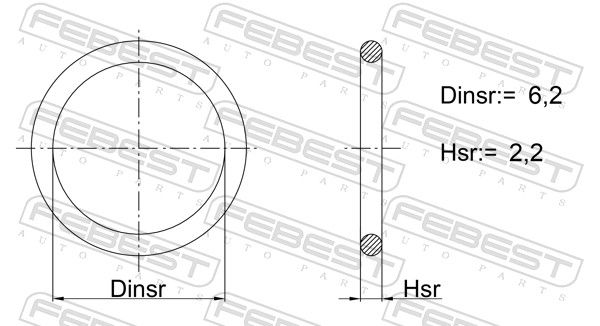 Seal Ring, injector-main