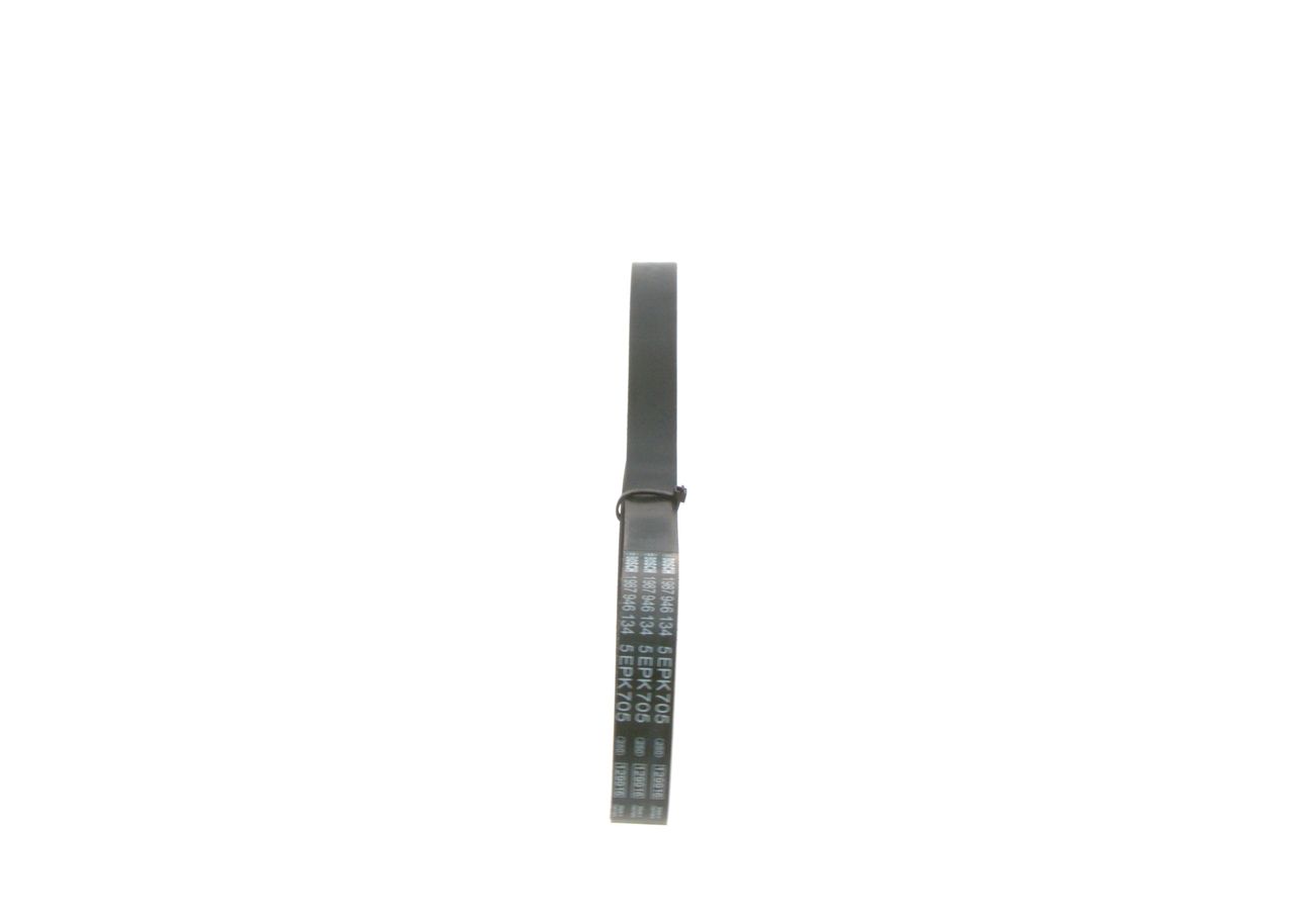V-ribbed Belt-3