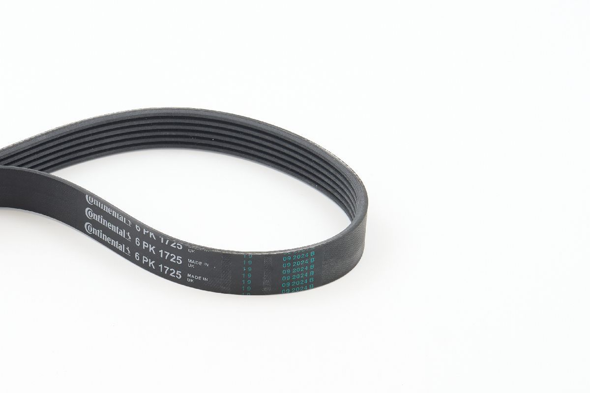 CONTINENTAL CTAM 6PK1725 V-ribbed belt