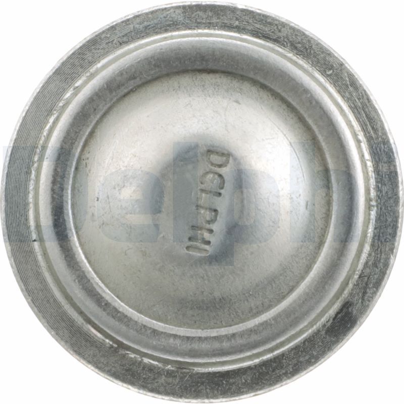 Šarnyras / girgždukas-2