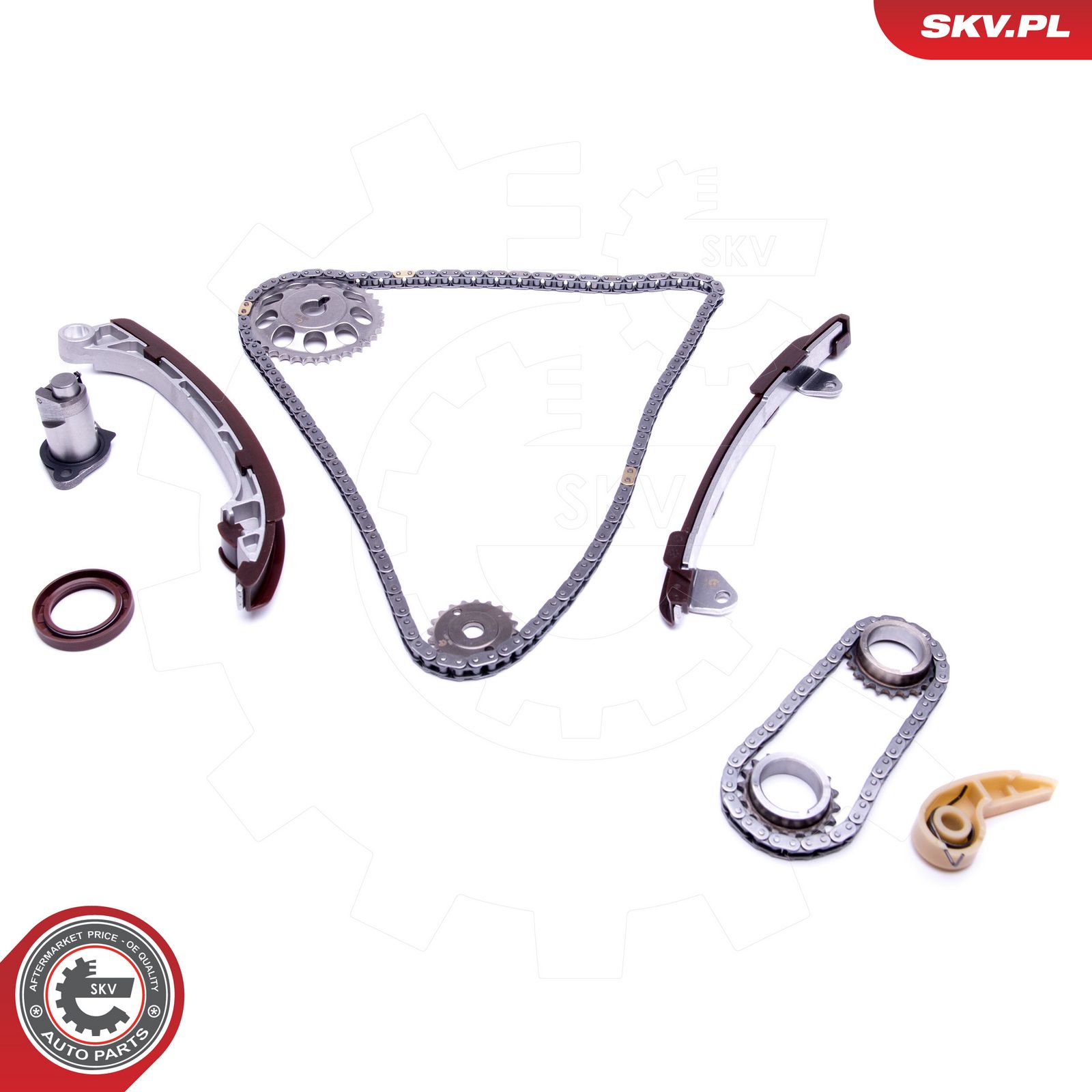 ESEN SKV 21SKV195 Timing chain kit