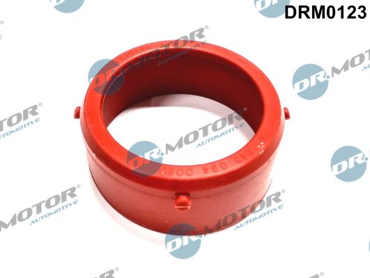 DR.MOTOR AUTOMOTIVE DRM0123 Gasket, charger