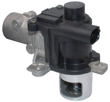 MAGNETI MARELLI 571822112125 Egr valve