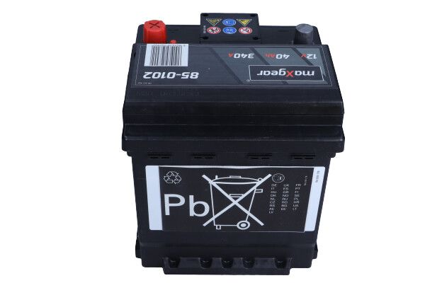 Starter Battery-1