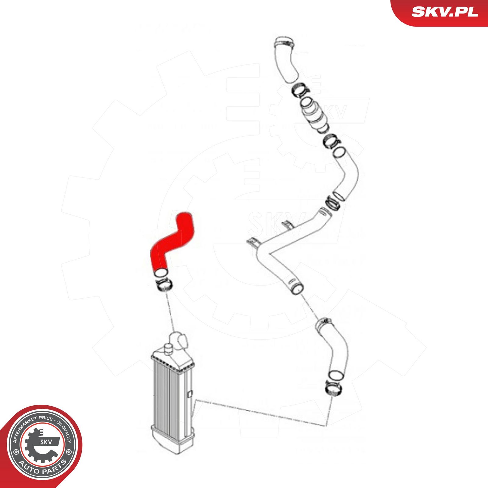 Charge Air Hose-2