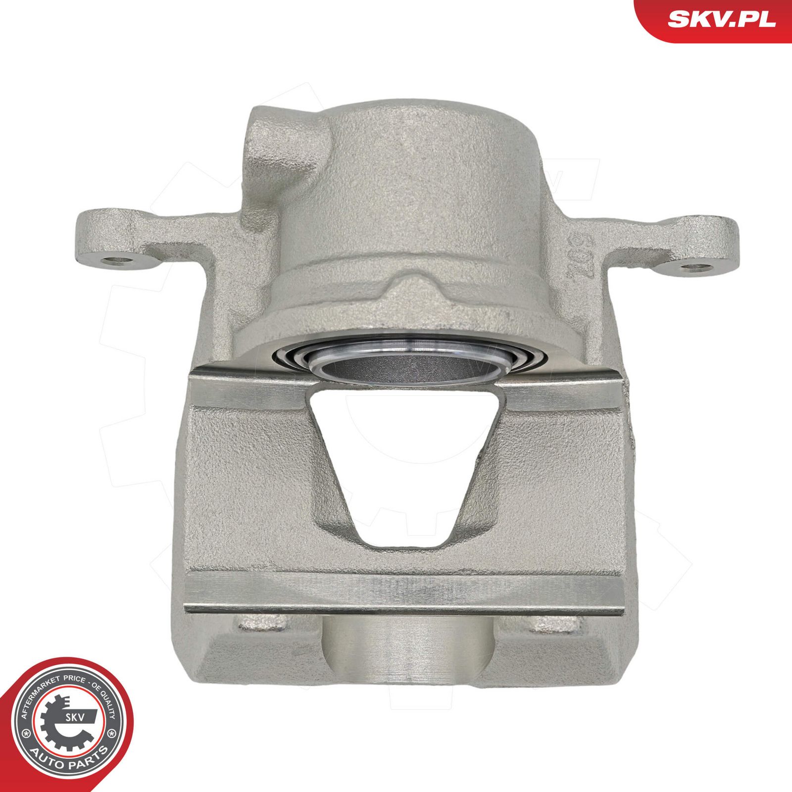 Brake Caliper-1
