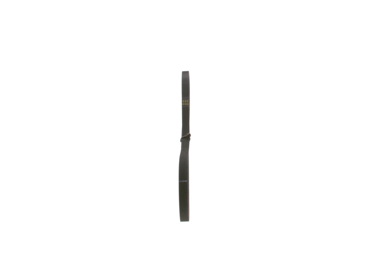 V-ribbed Belt-3