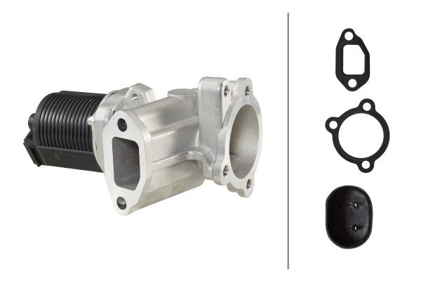 HELLA 6NU 010 171-421 Egr valve