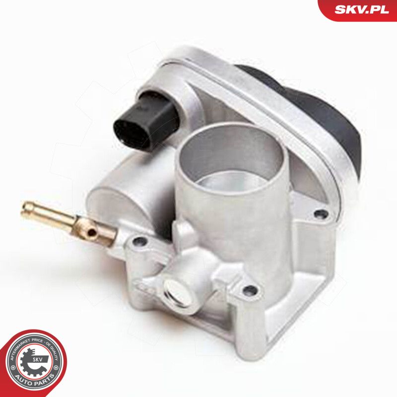 ESEN SKV 12SKV028 Throttle body
