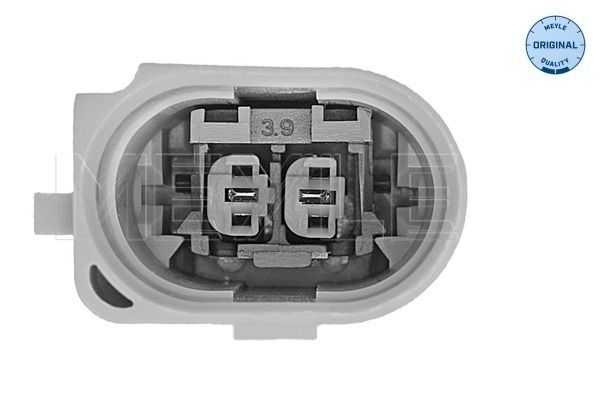 Mounting, engine-2
