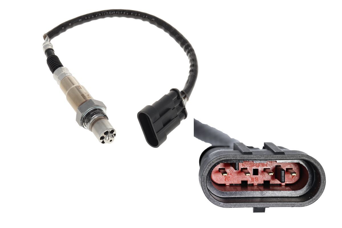 Oxygen Sensor-2