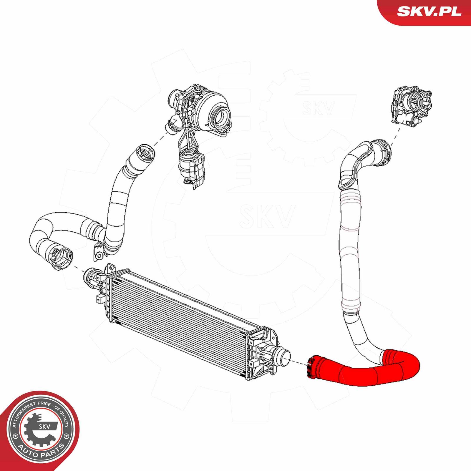 Charge Air Hose-2