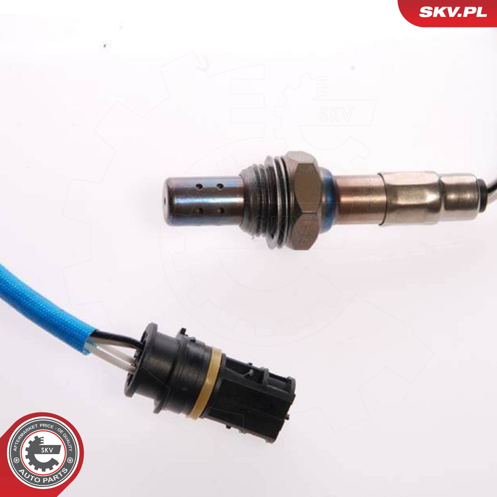 Oxygen Sensor-1