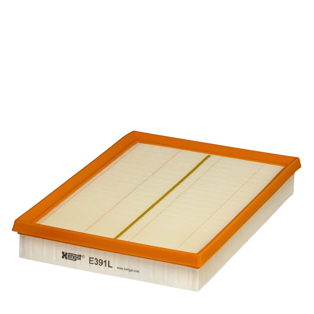 HENGST FILTER E391L Oro filtras